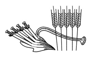 Our Lenten worship theme is Conflict Transformed. This image drawn by Jesse Graber was inspired by an Arlie Regier sculpture that resides at the Clay County Court House in Liberty, MO. The plaque next to Arlie's sculpture reads as follows: "...and they shall beat their swords into plowshares..." Isaiah's vision, early settlers' dreams, and descendants' honest toil bring greatness to the land.