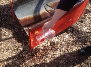 communion in the park