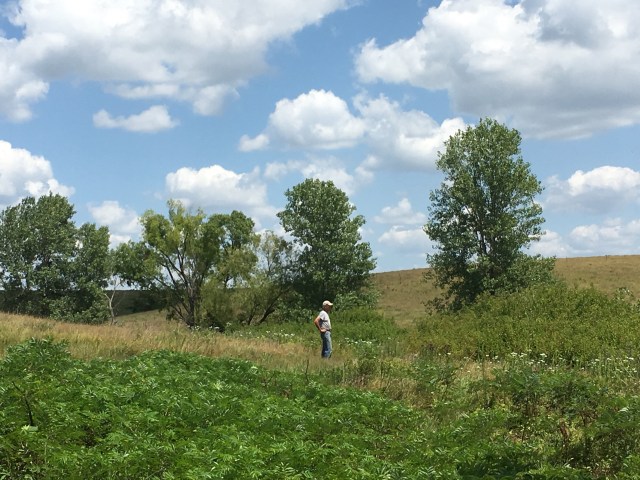 256A72EA-9BC6-403E-BDAA-09BFF89B32D4