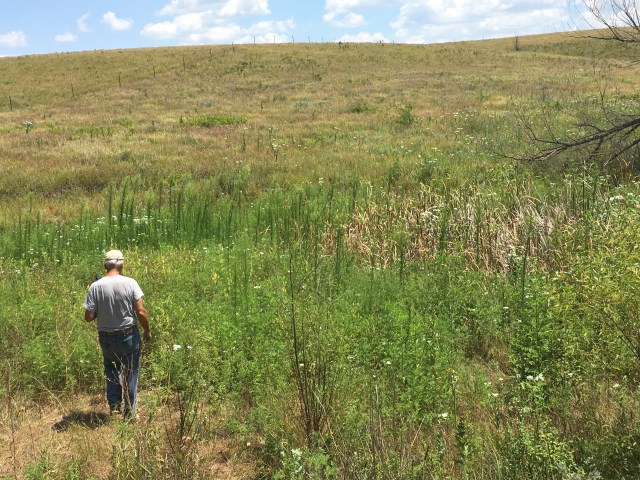 A111197E-6227-4219-9F06-B1B4338407B4