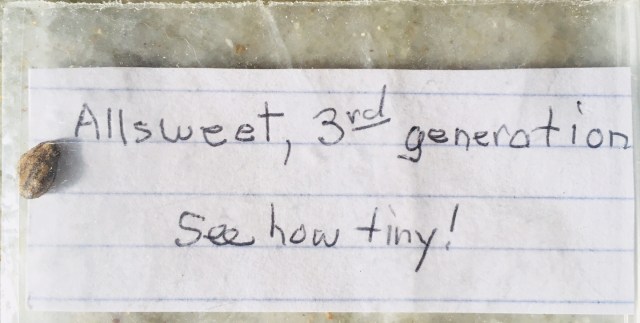 A38F04CE-A99D-4D13-83D8-16E07ADB4521