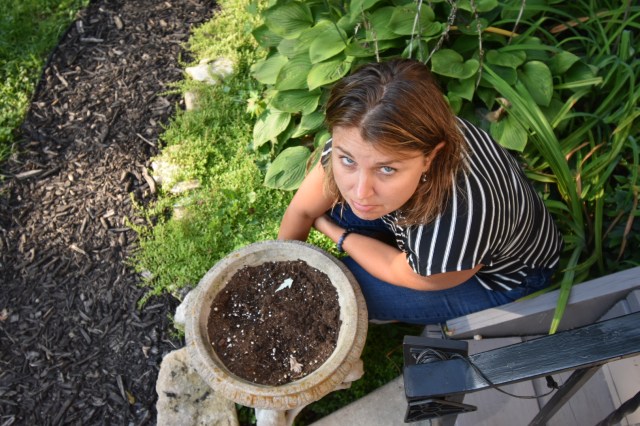 A20AB749-9011-4F97-BAA1-46BB9C615A3A