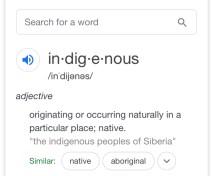 394E10DD-4D56-4971-879E-F28B58C034C5